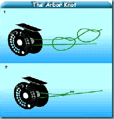 Arbor-knot